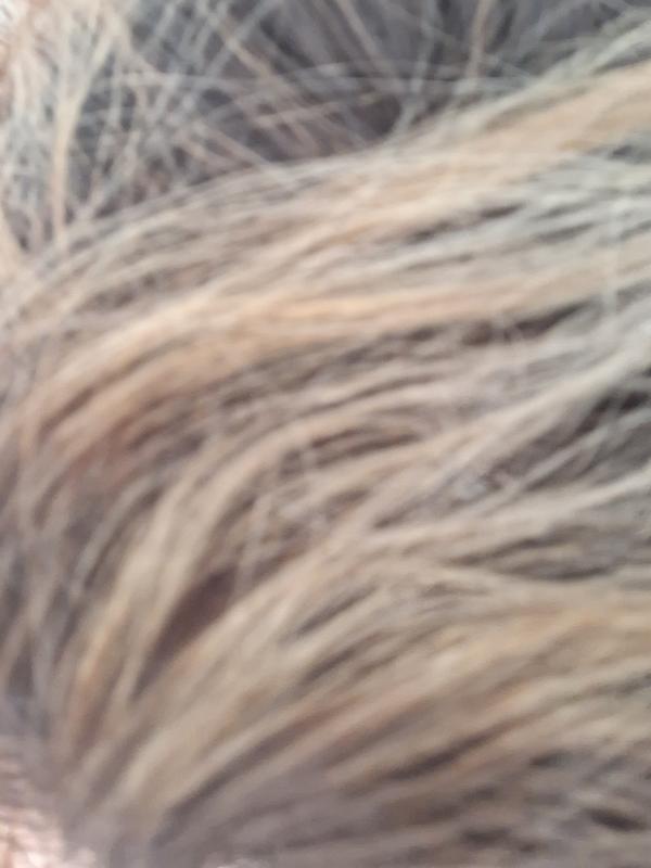 Review photo 1.