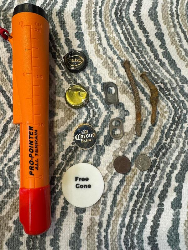 Wifes quick beach finds with only the pin pointer