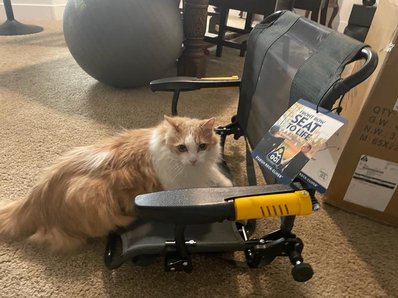 Photo submitted with review of product