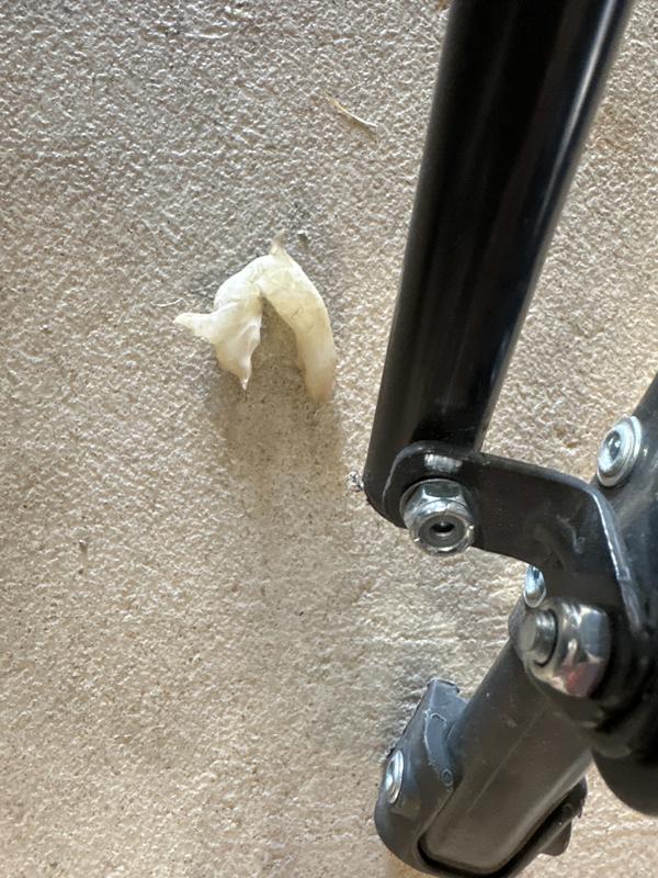 Photo submitted with review of product