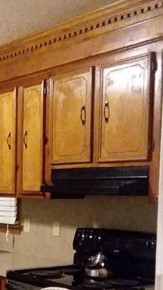 Customer photo 2 of 2. Click to open full size image.