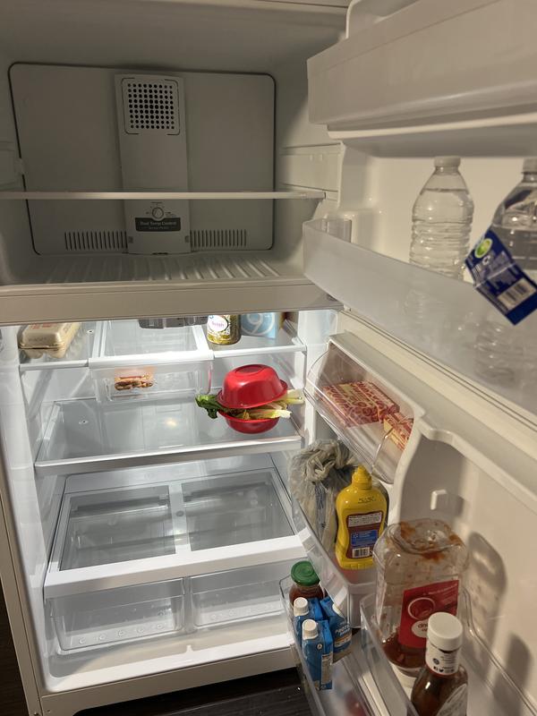 Reviews for GE 21.9 cu. ft. Top Freezer Refrigerator in