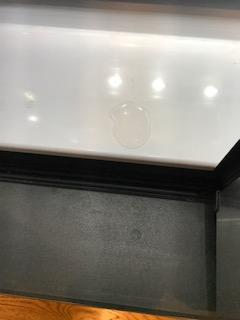 Customer photo 4 of 5. Click to open full size image.