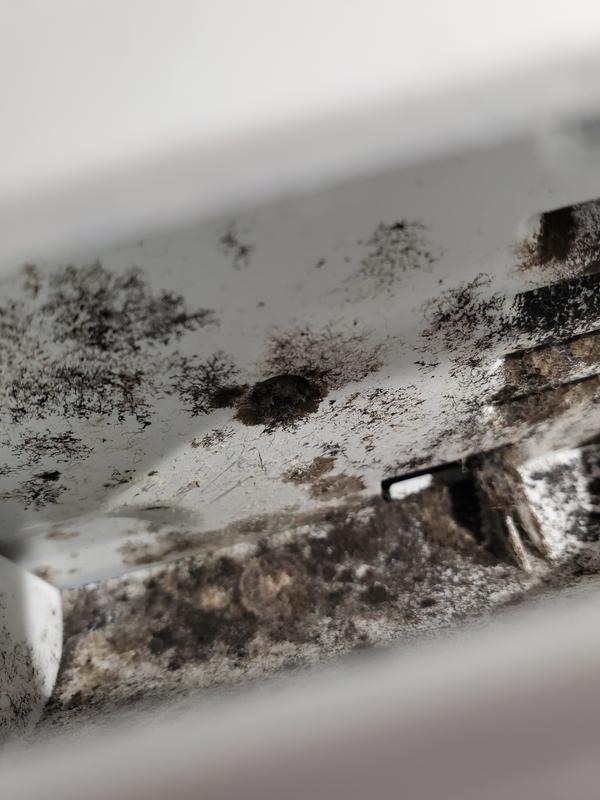 Customer photo 6 of 6. Click to open full size image.