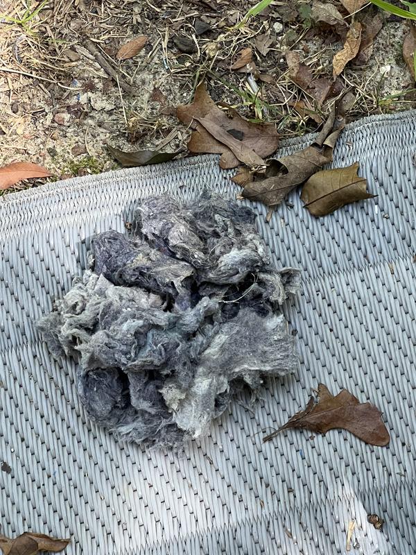 Customer photo 1 of 3. Click to open full size image.