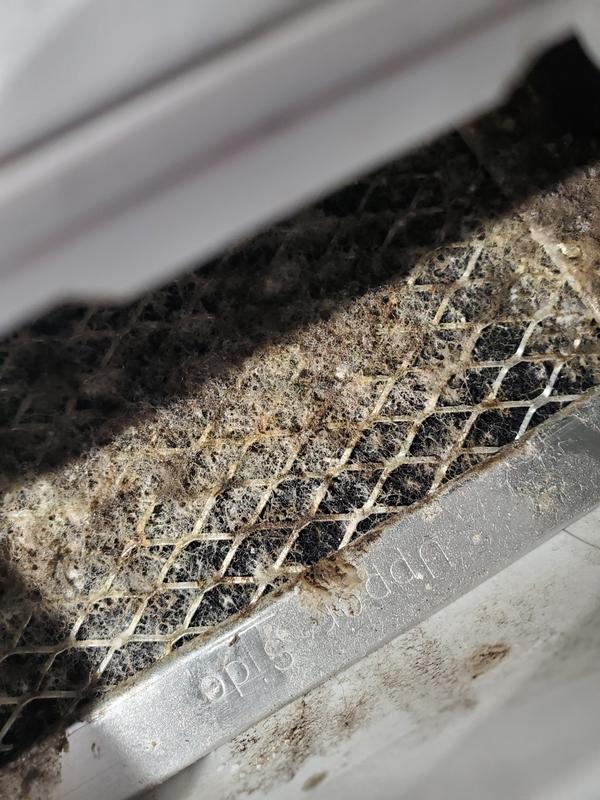 Customer photo 2 of 6. Click to open full size image.