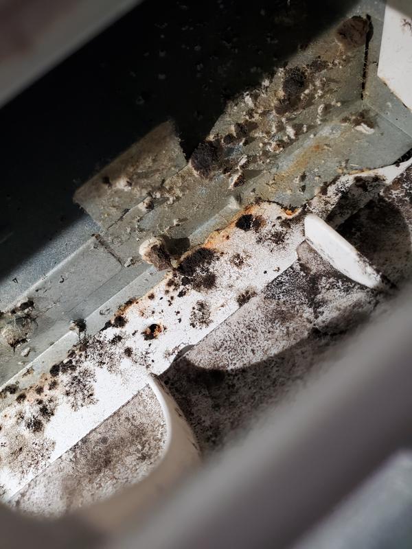 Customer photo 3 of 6. Click to open full size image.