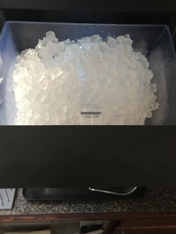 Photo from TryingNuggets