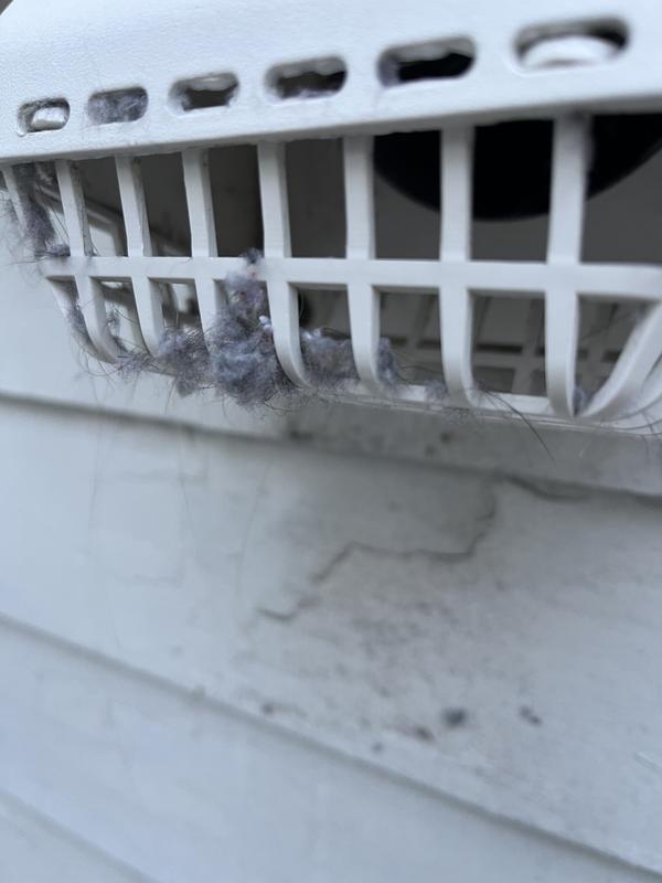 Customer photo 3 of 6. Click to open full size image.