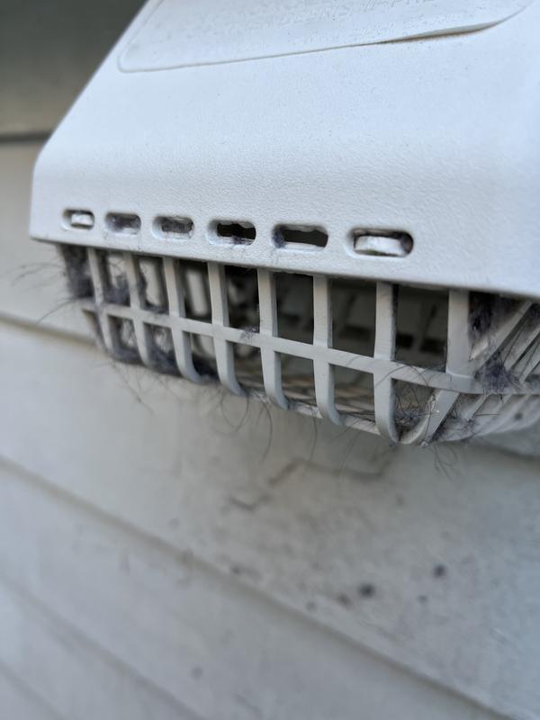 Customer photo 6 of 6. Click to open full size image.