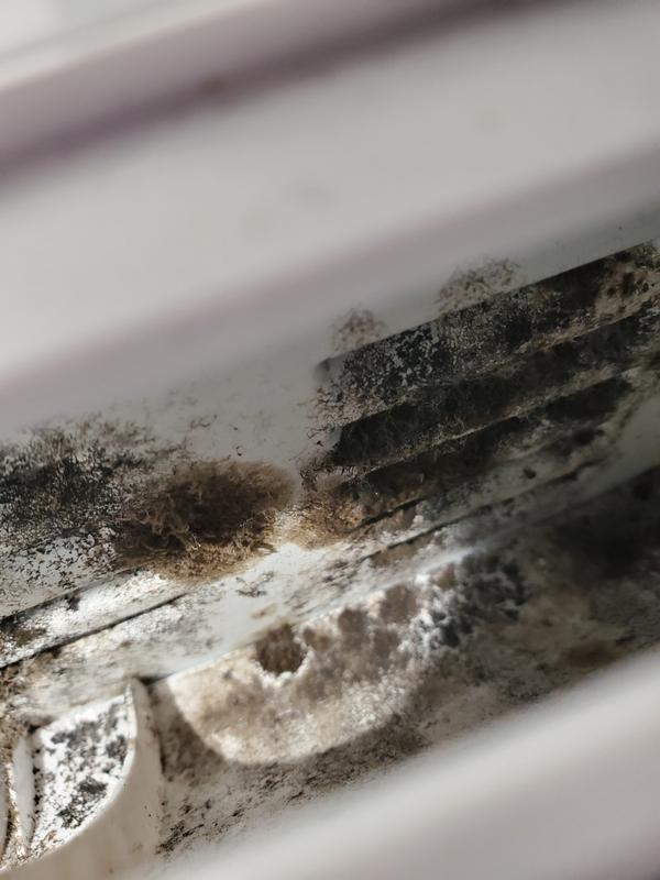 Customer photo 1 of 6. Click to open full size image.