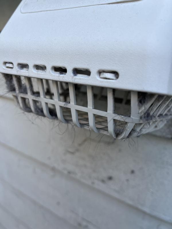 Customer photo 5 of 6. Click to open full size image.