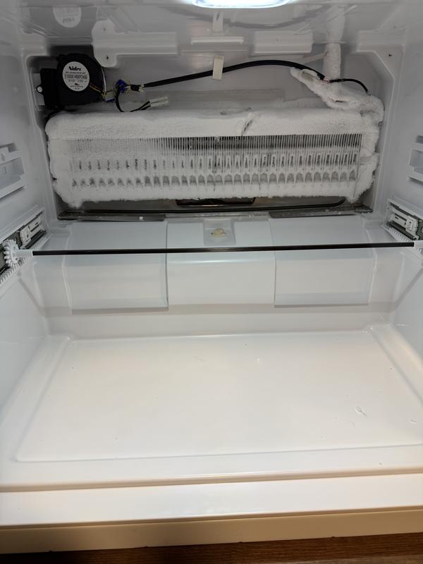 GE 25.8 cu. ft. French Door Refrigerator in Stainless Steel