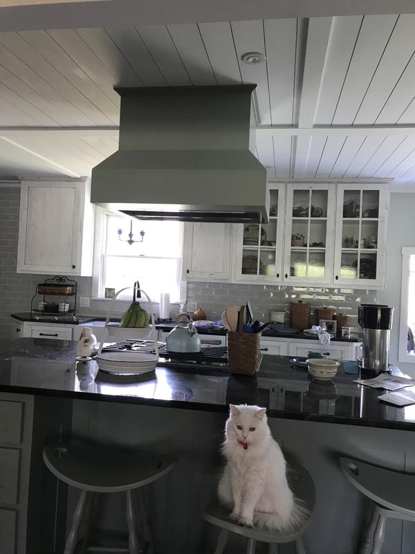 Customer photo 2 of 2. Click to open full size image.