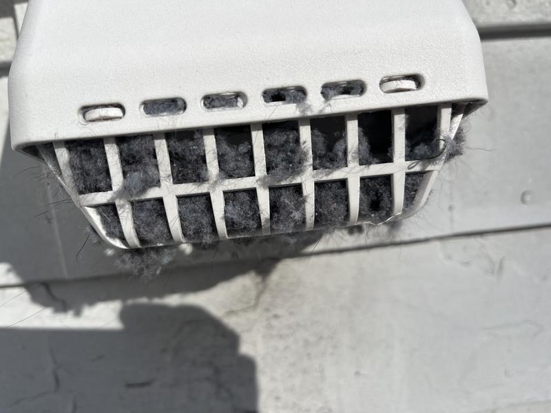 Customer photo 1 of 6. Click to open full size image.