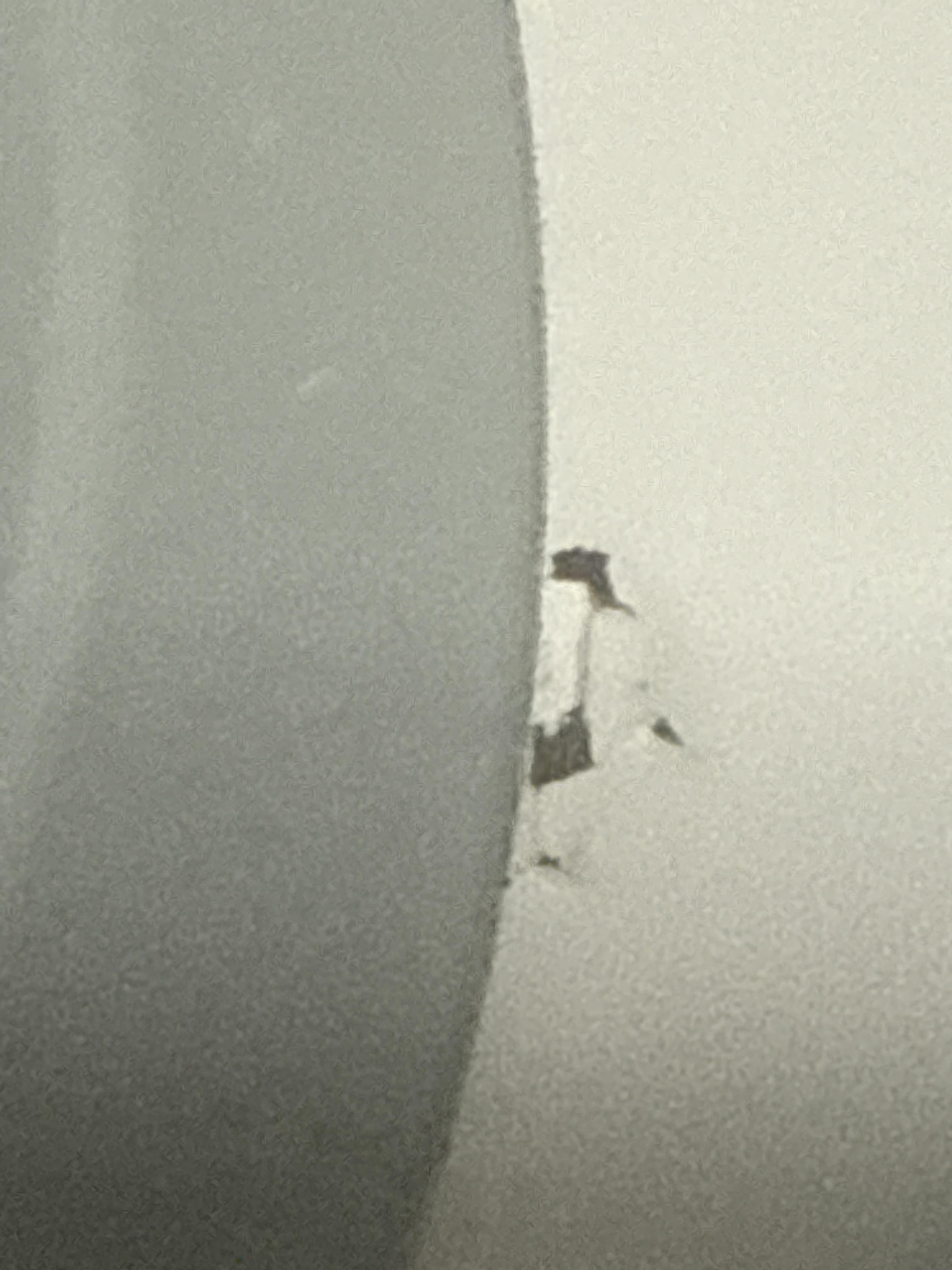 Image 2 of 2