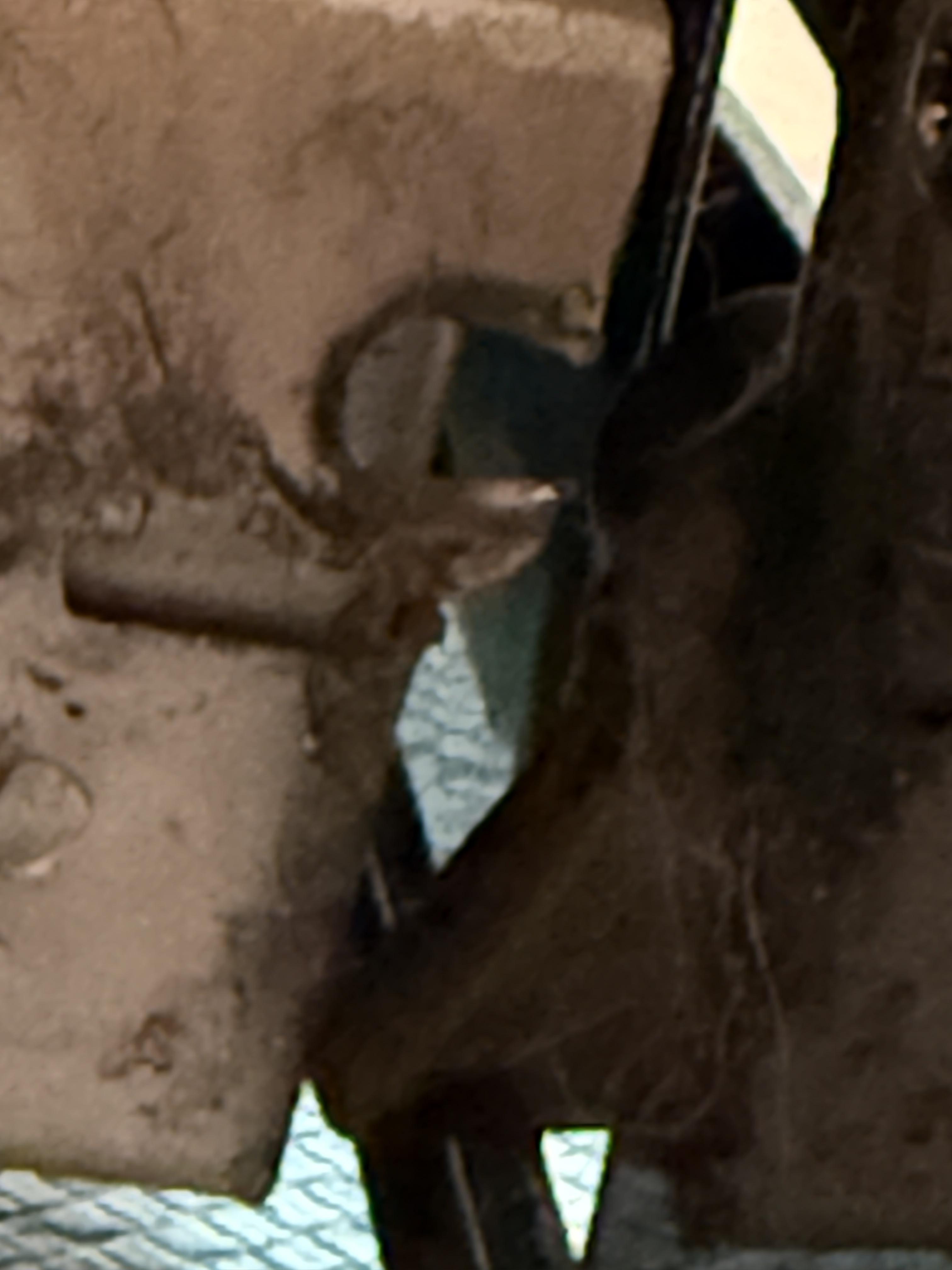 Image 4 of 4