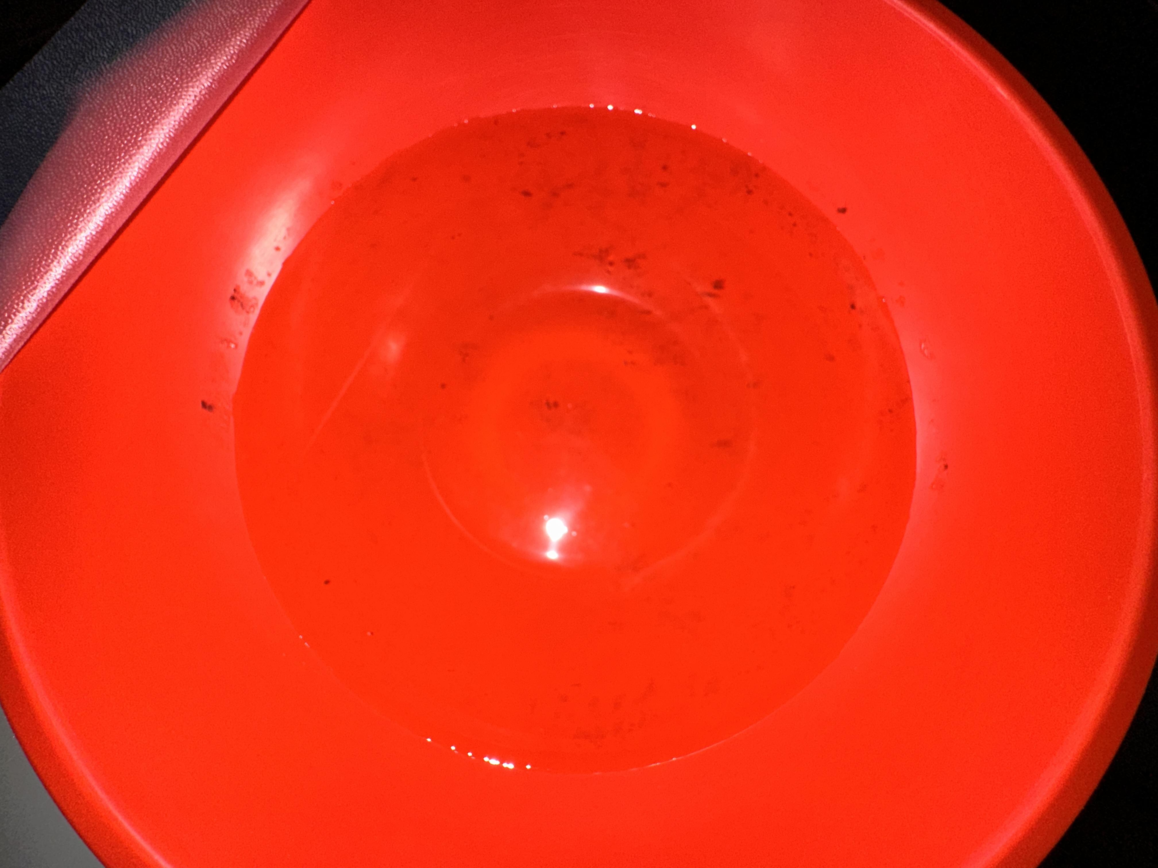 Image 2 of 3
