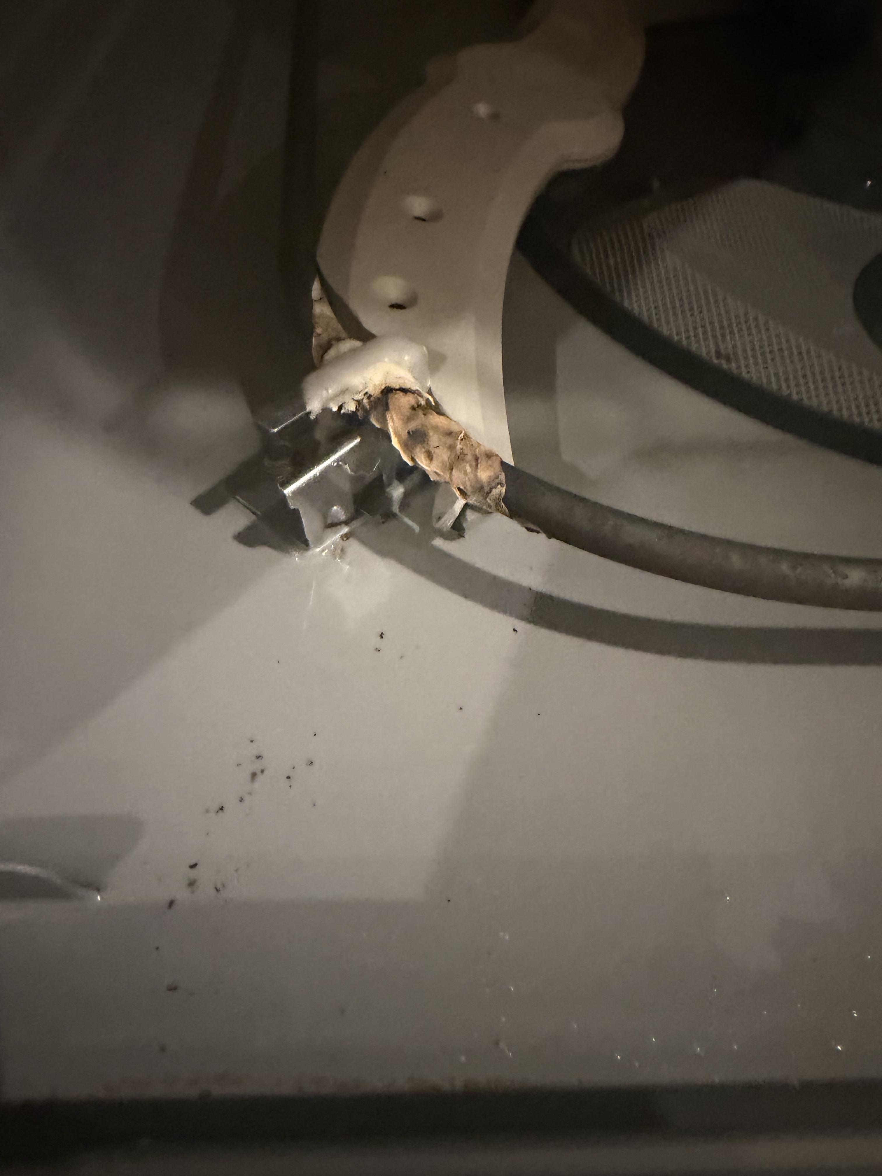 Image 3 of 4