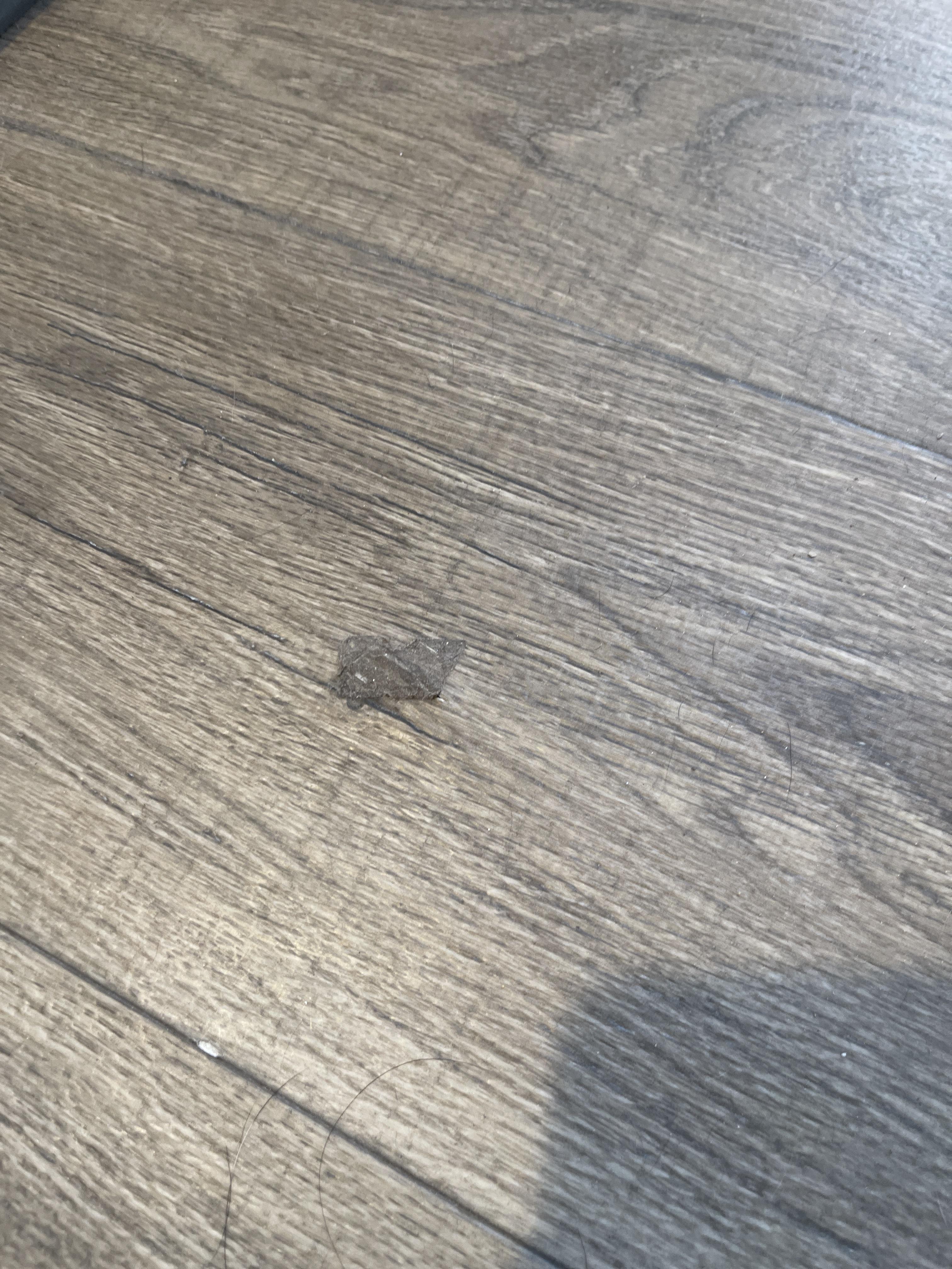 Image 2 of 2