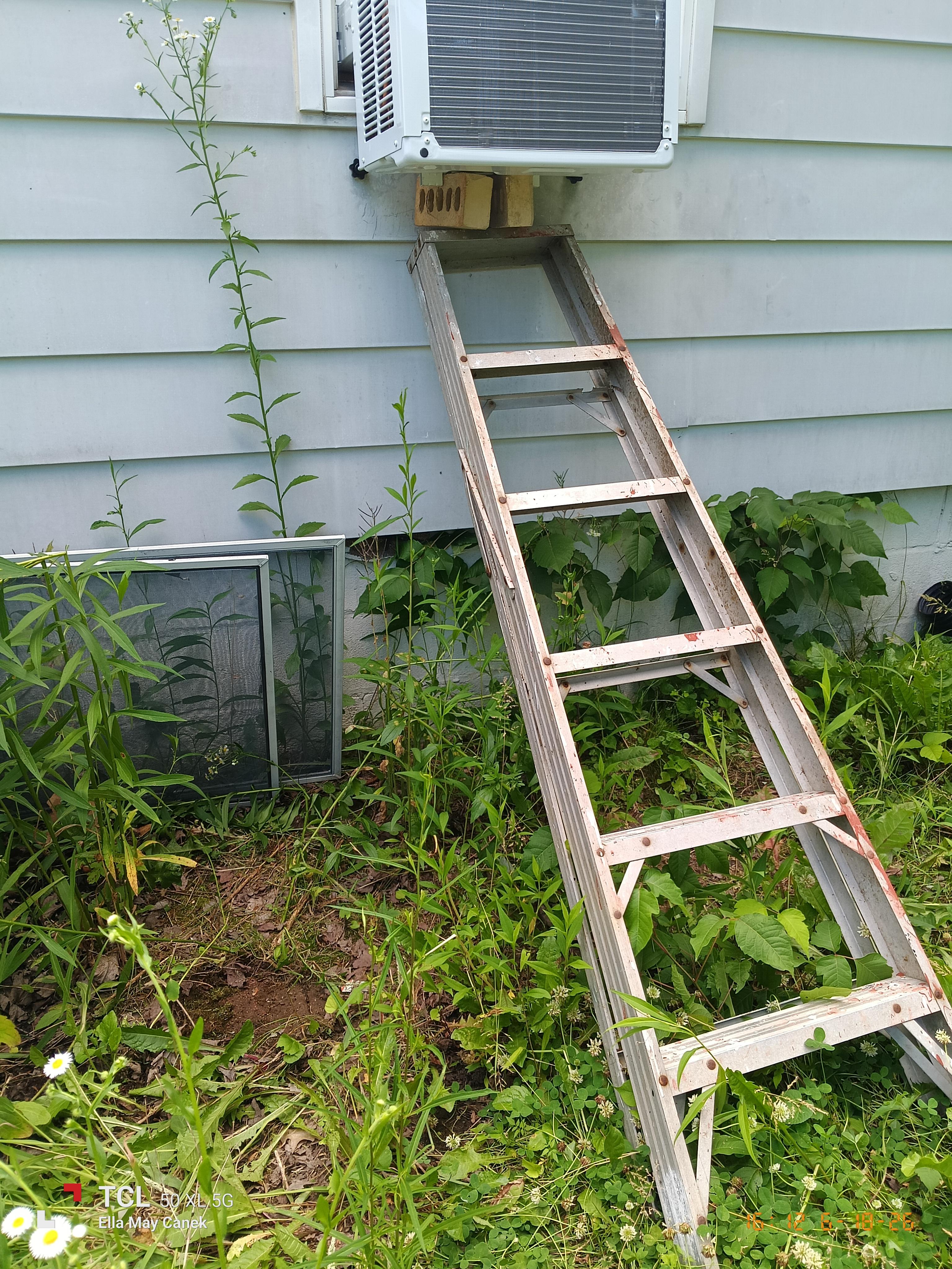 Image 6 of 6