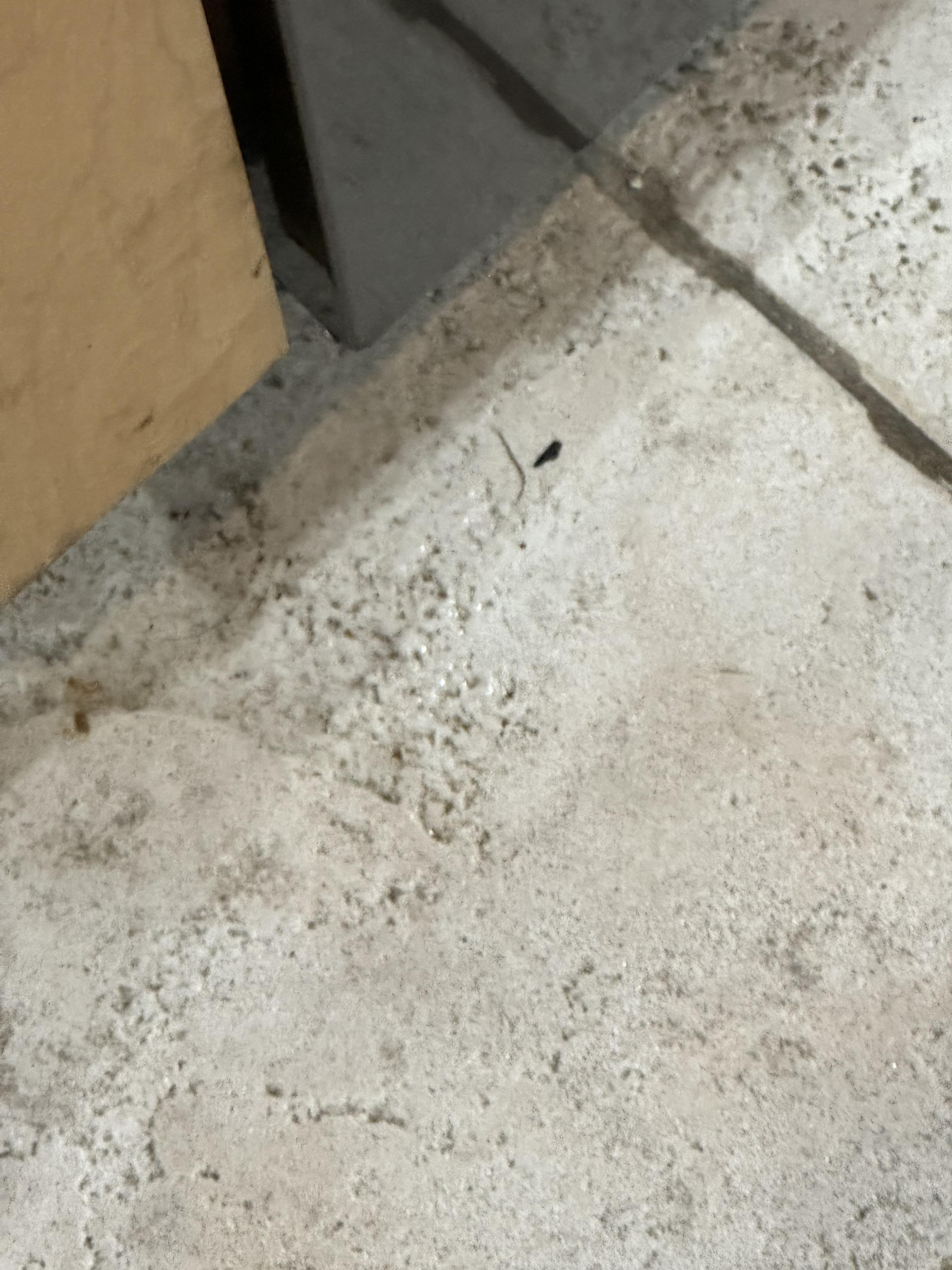 Image 2 of 3