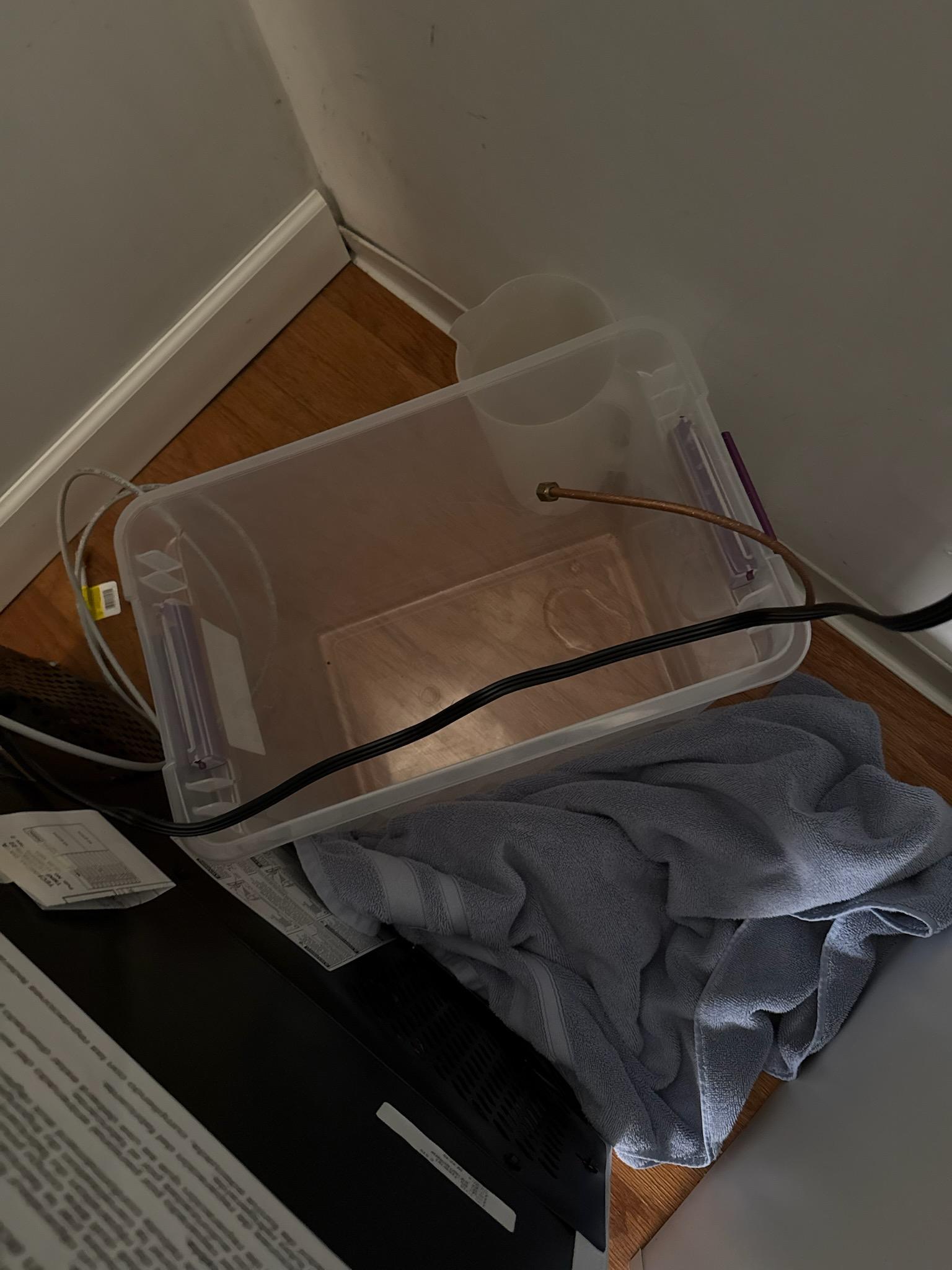 Image 3 of 6
