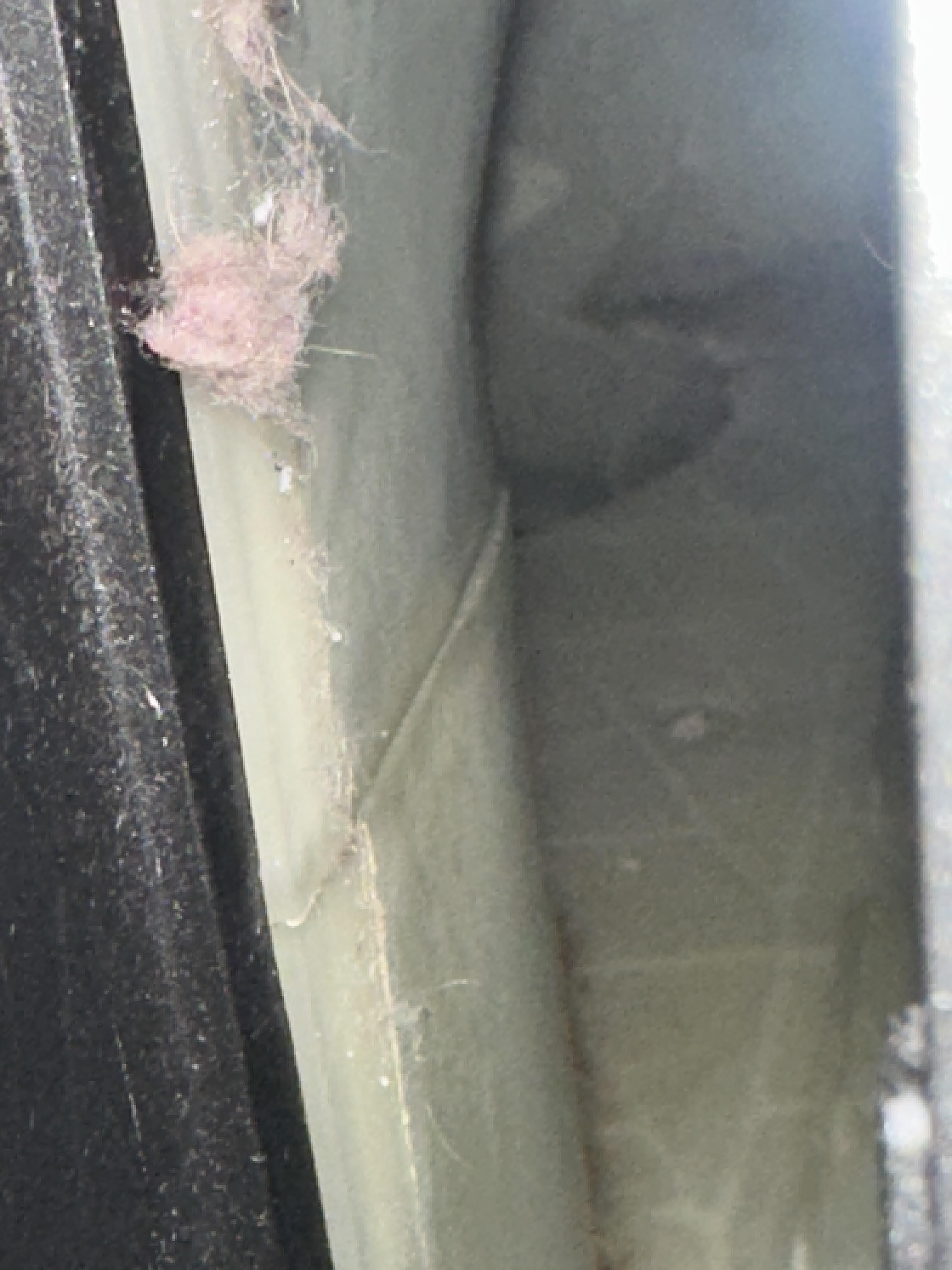 Image 3 of 6