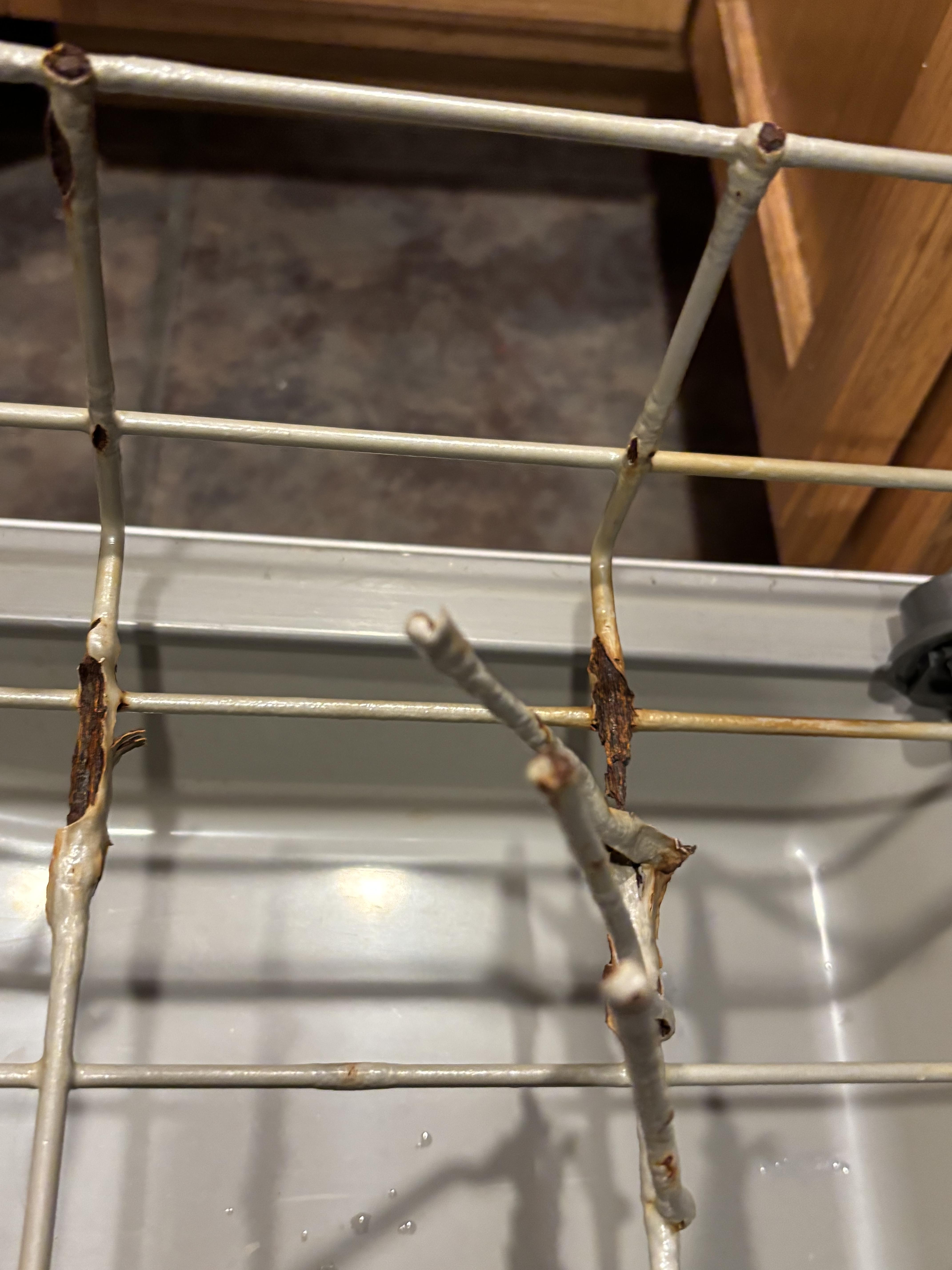 Image 4 of 5