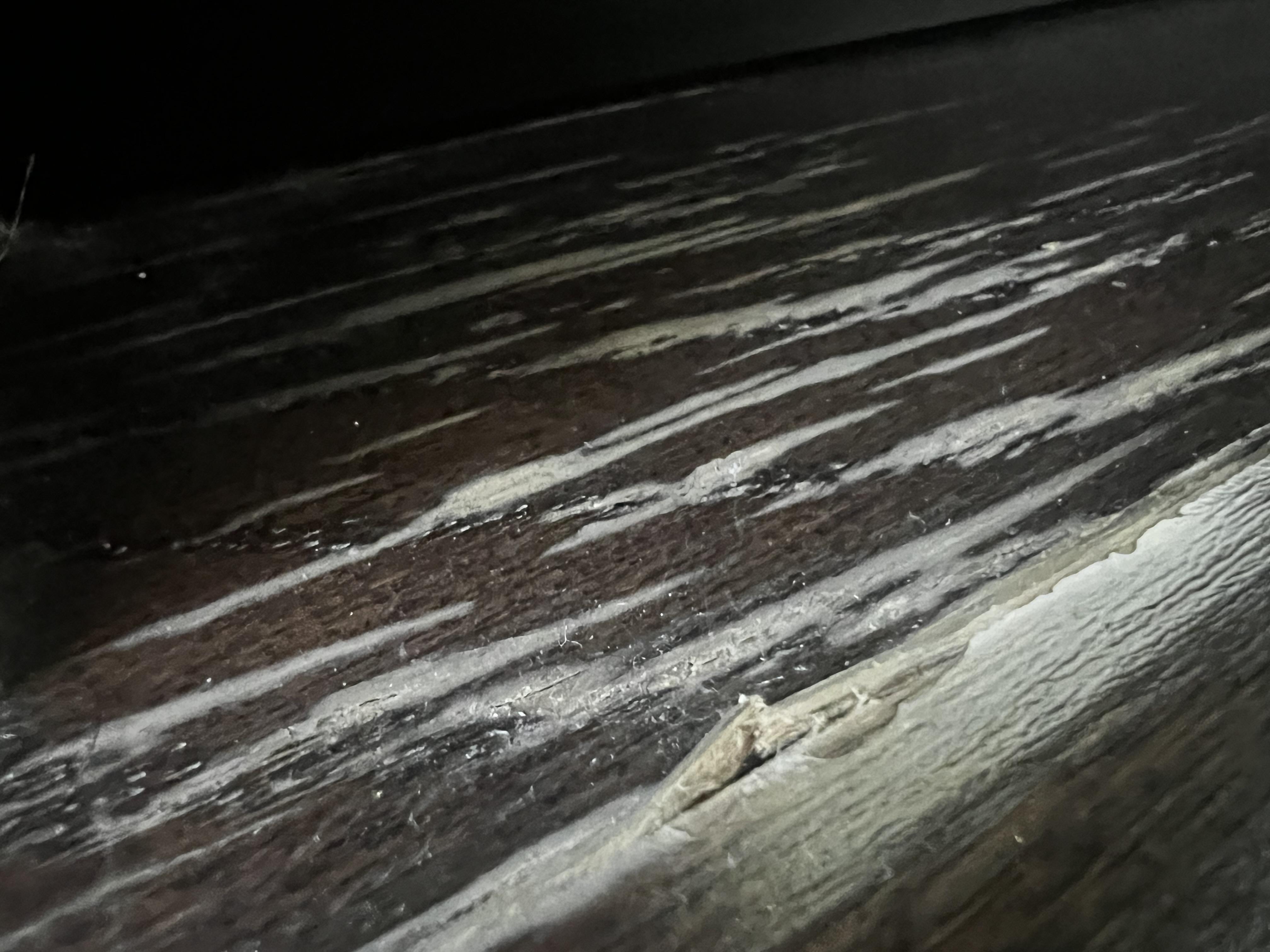 Image 4 of 4