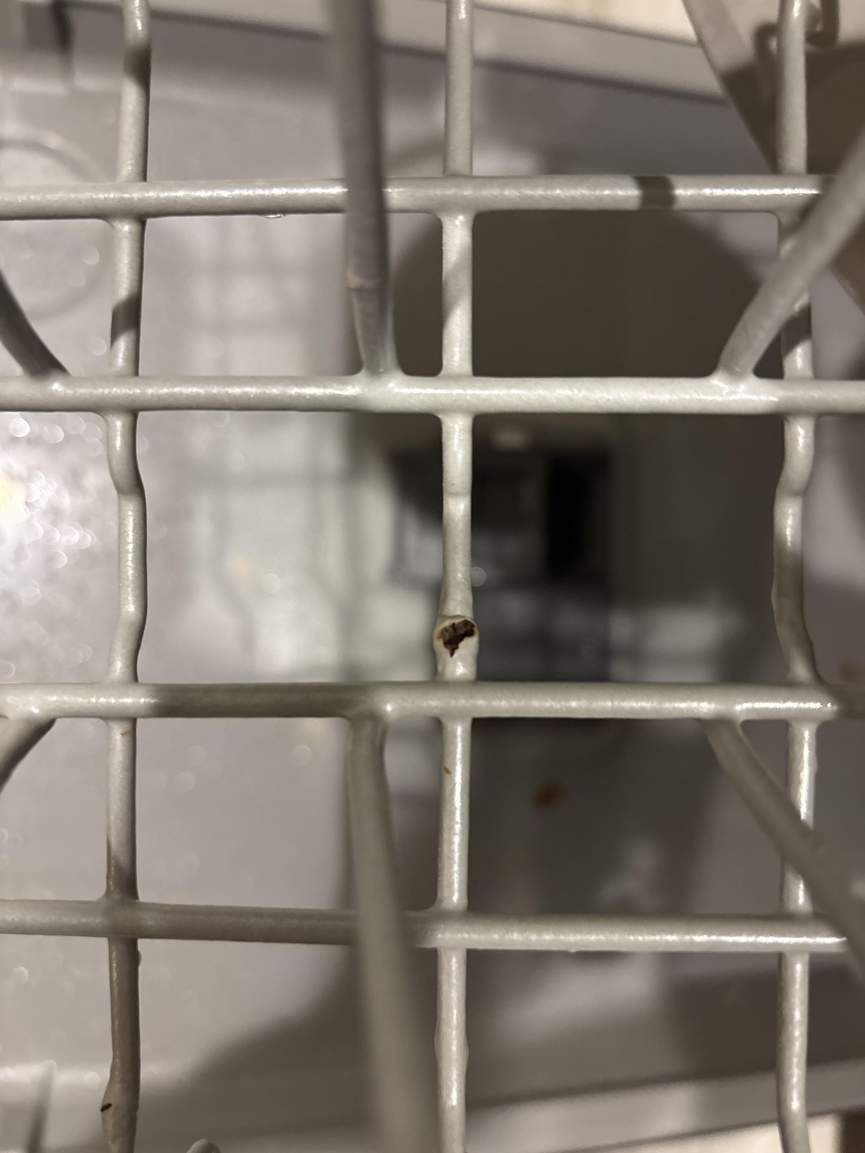 Image 2 of 4
