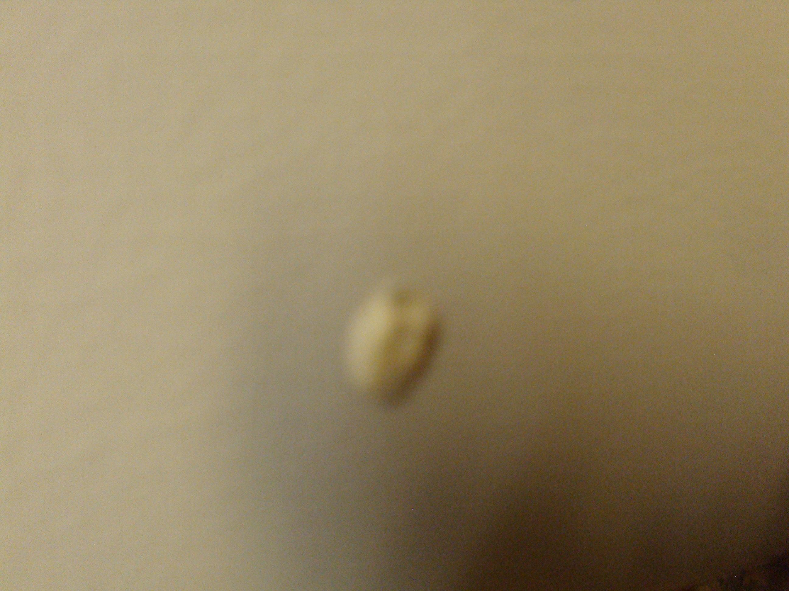 Image 2 of 3