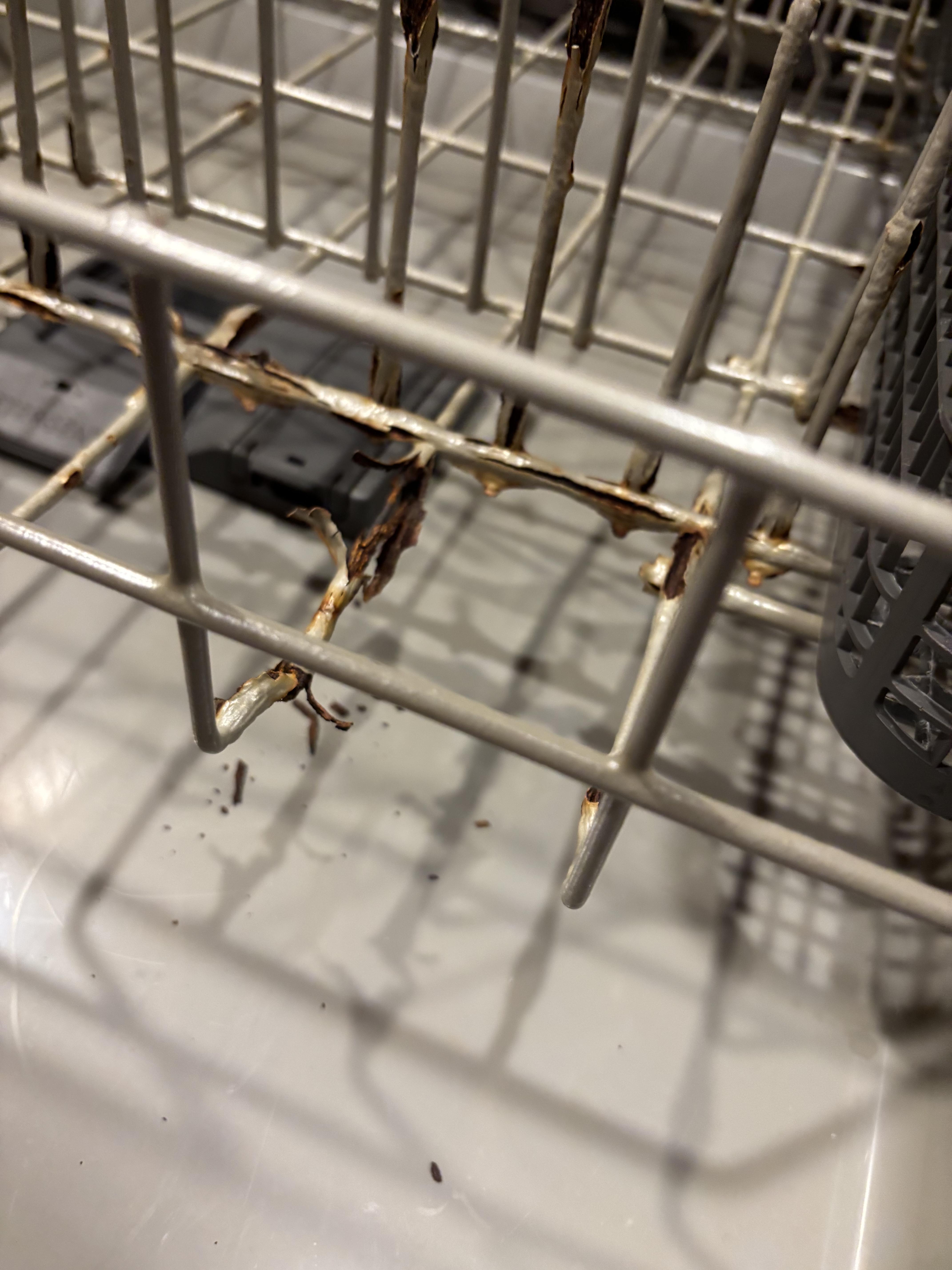 Image 2 of 5
