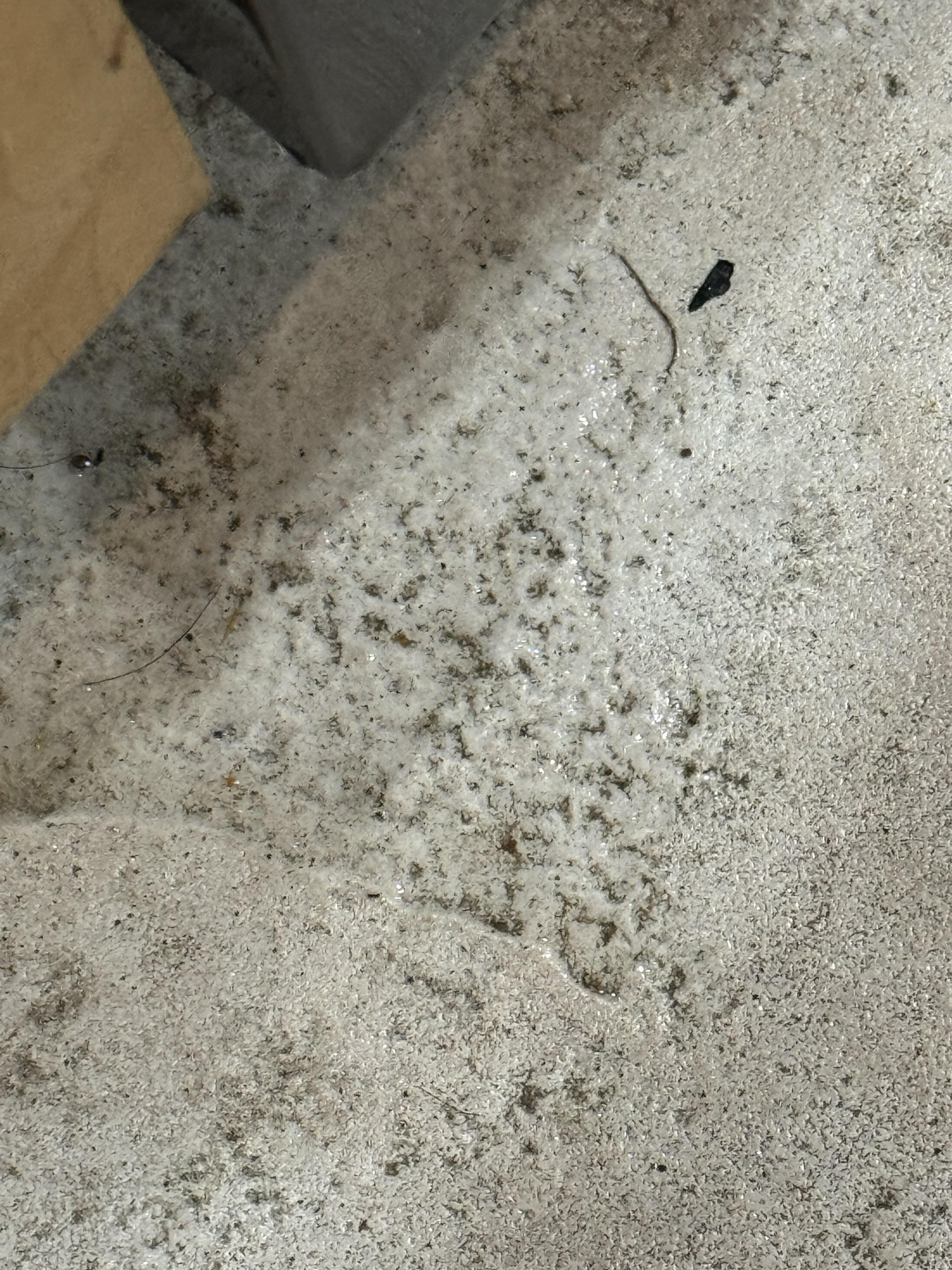 Image 3 of 3