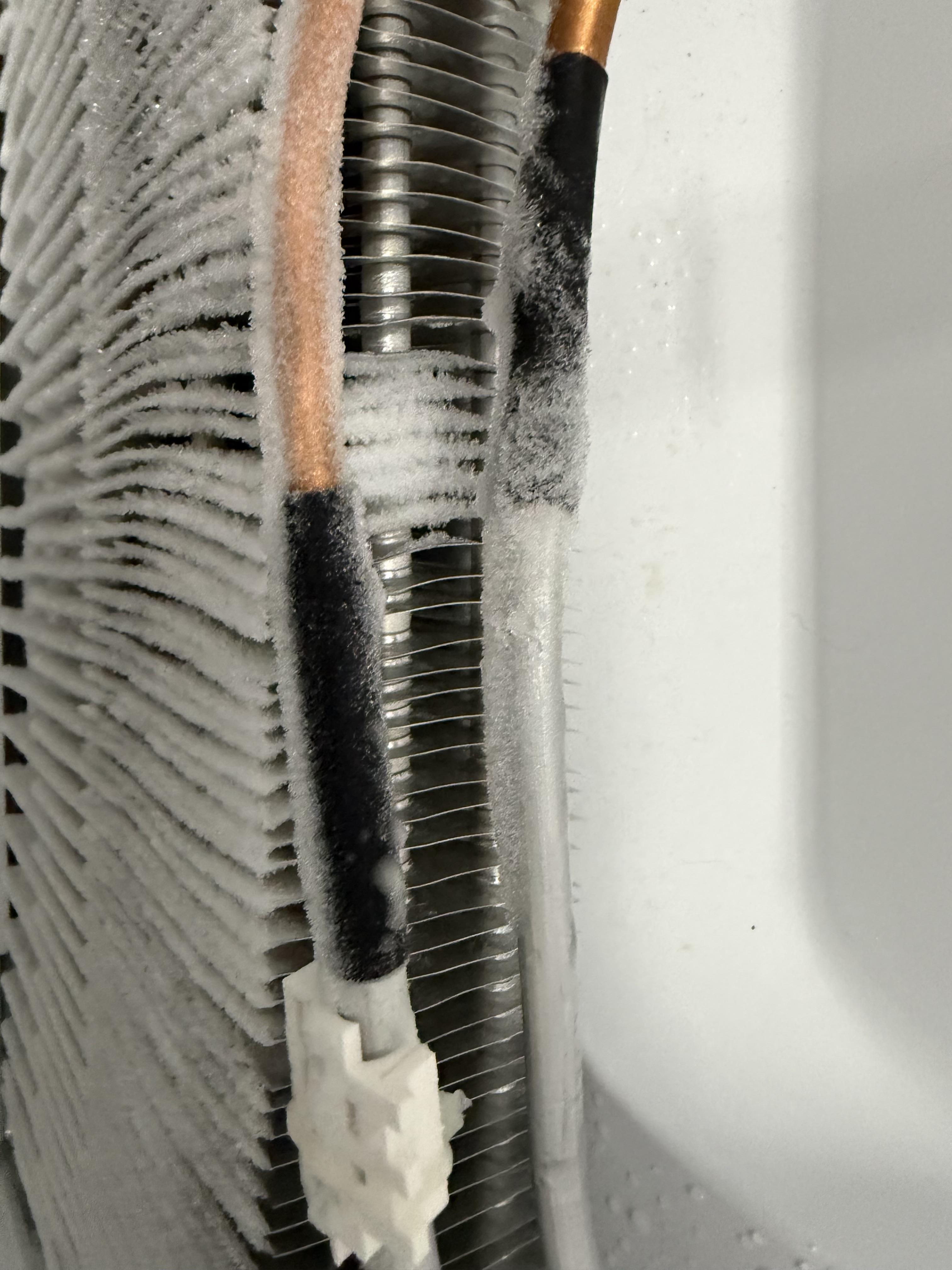 Image 2 of 5