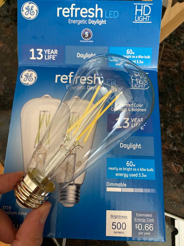 GE 60W Refresh LED ST19 Medium Base Bulbs, Cool Dayligh - 2 Each