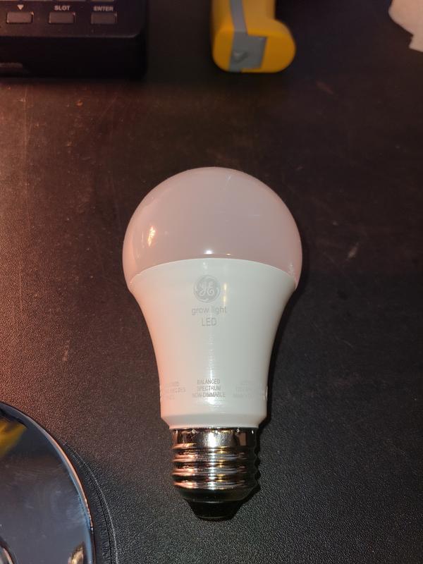 GE Grow Light LED Indoor Flood Light Bulb, Balanced Light Spectrum for  Seeds and Greens, 9 Watts, Medium Base (Pack of 1)
