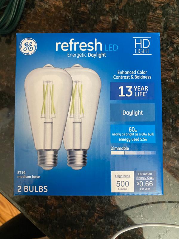 GE 60W Refresh LED ST19 Medium Base Bulbs, Cool Dayligh - 2 Each