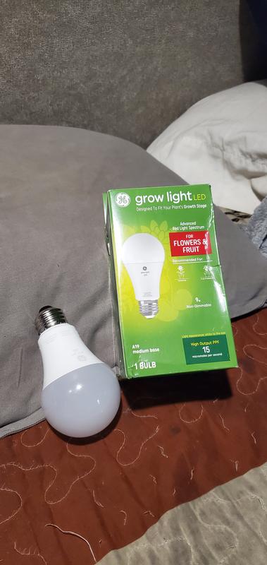 Globe grow deals light a19