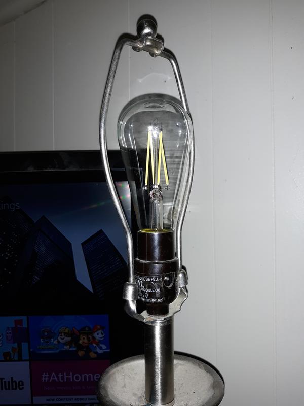Like the shape and design of the bulb