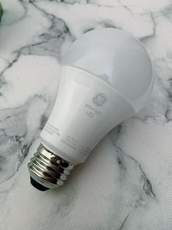 Here's what the bulb actually looks like.