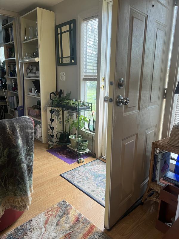 Beautiful design need more!