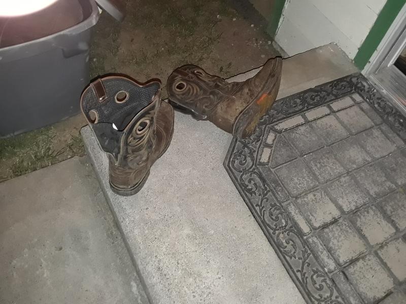 Photo submitted with review of product
