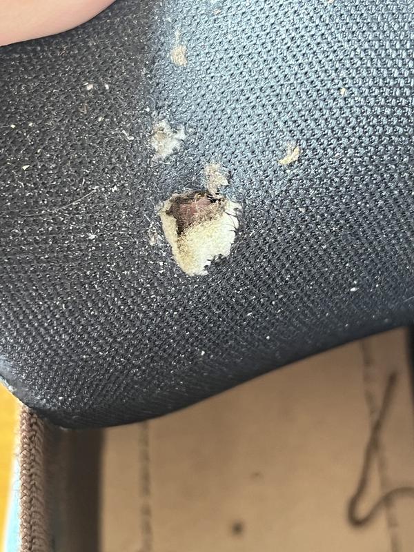 Review Thumbnail Image 3 290576319