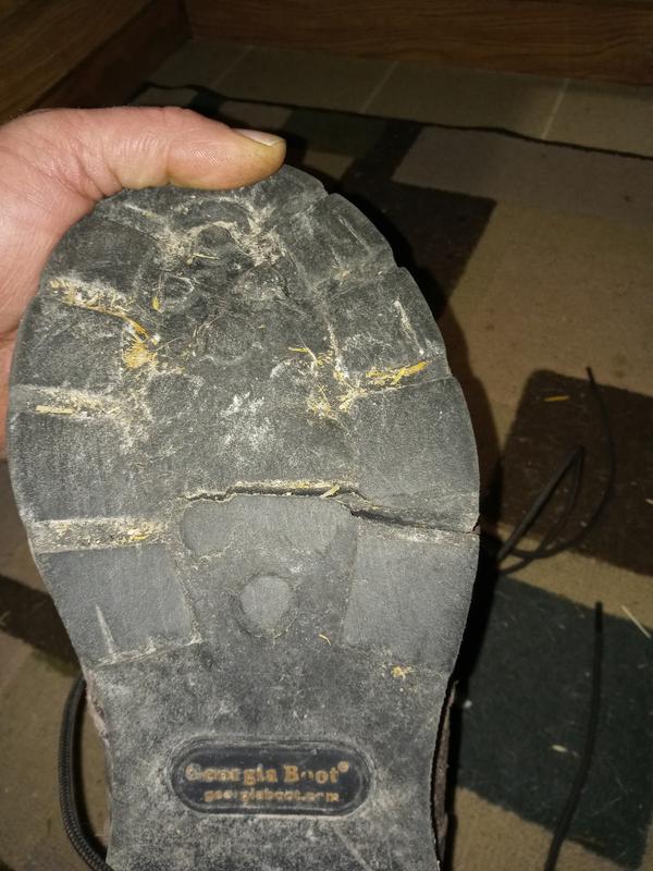 Cracked sole.