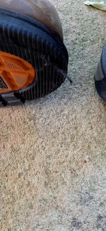 Photo submitted with review of product