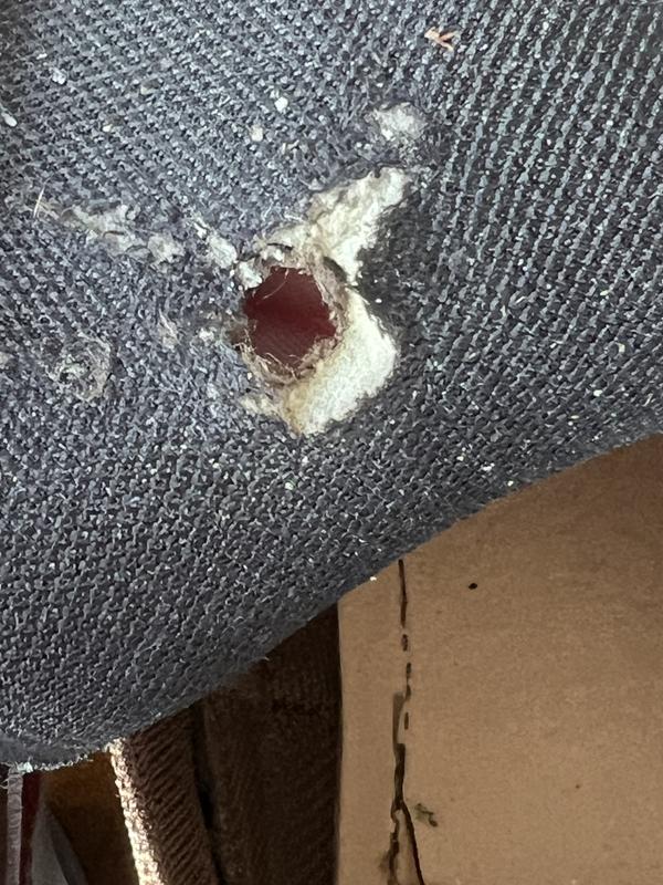 Review Thumbnail Image 1 290576319