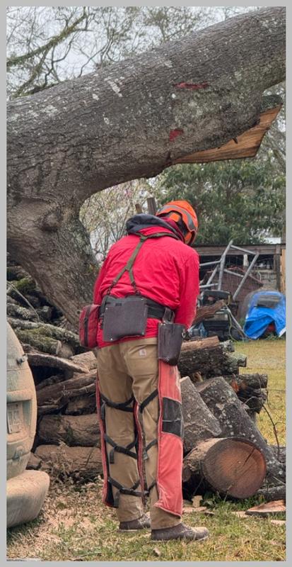 Photo from SawMan2018
