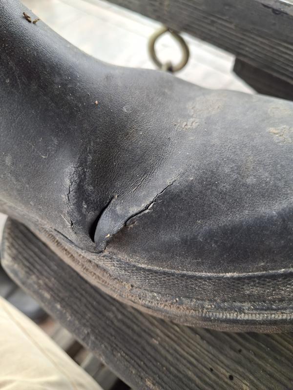 Review Thumbnail Image 0 300067102