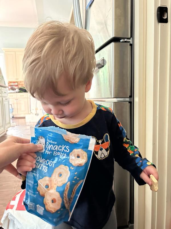 Arrowroot Cookies Snacks for Crawlers Gerber